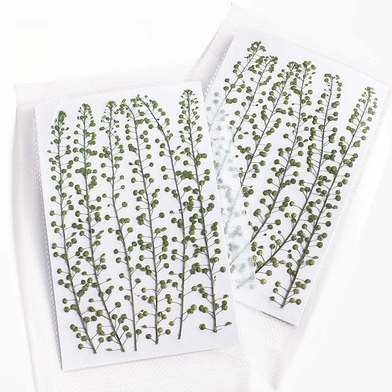 Naturalny kolor zielony, suszo – Resin Art Baby recenzja i cena