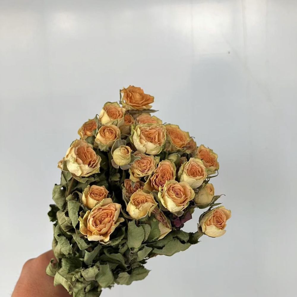 Prawdziwe, sterylizowane róże, – Resin Art Rose recenzja i cena