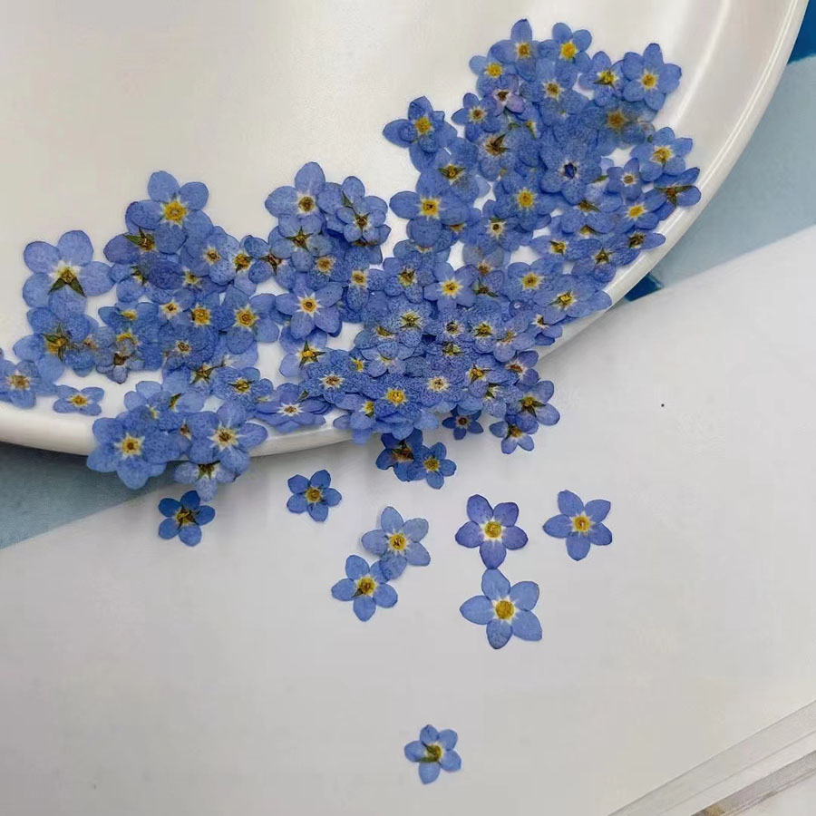 60 szt. Mini Suszonych Kwiatów – Resin Art Case recenzja i cena
